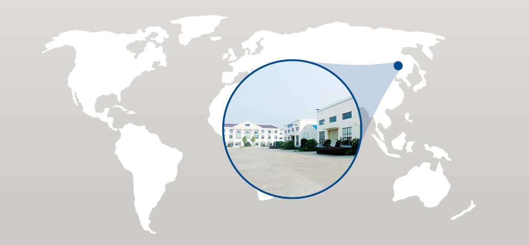 A-glace-at-the-Chinese-plant